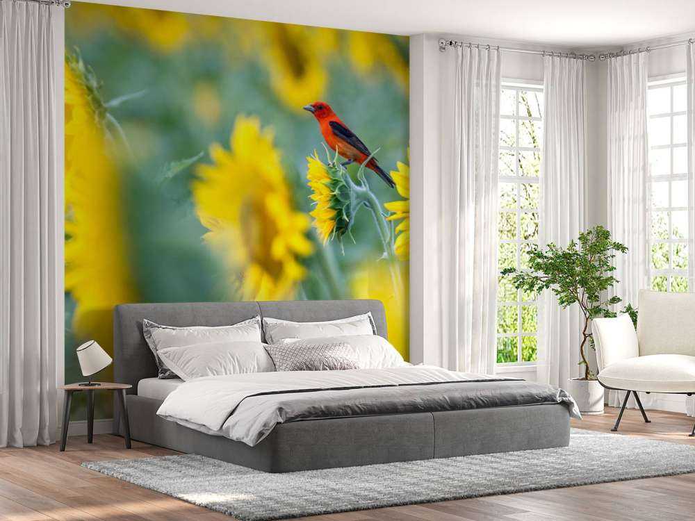 Solrosfält med röd fågel