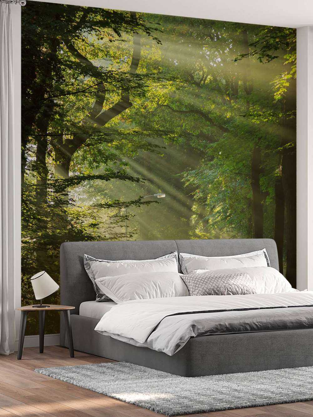 Solstrålar genom träden