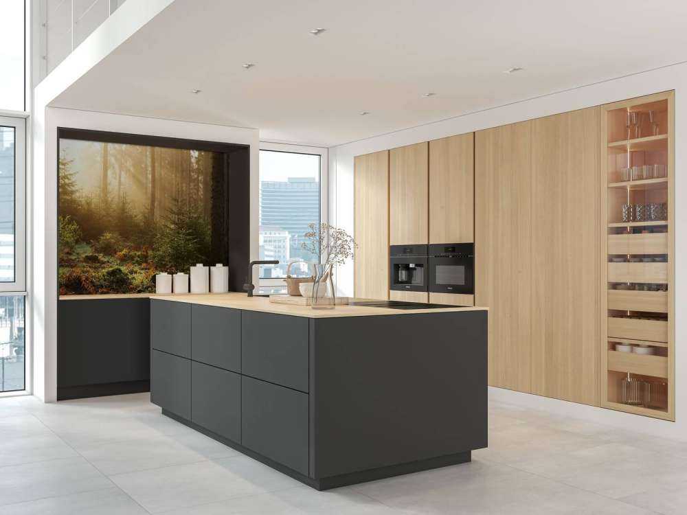 Solstrålar genom skogen