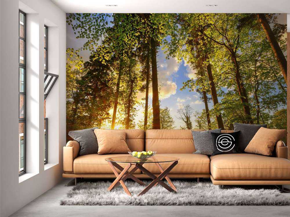 Solnedgång genom träden