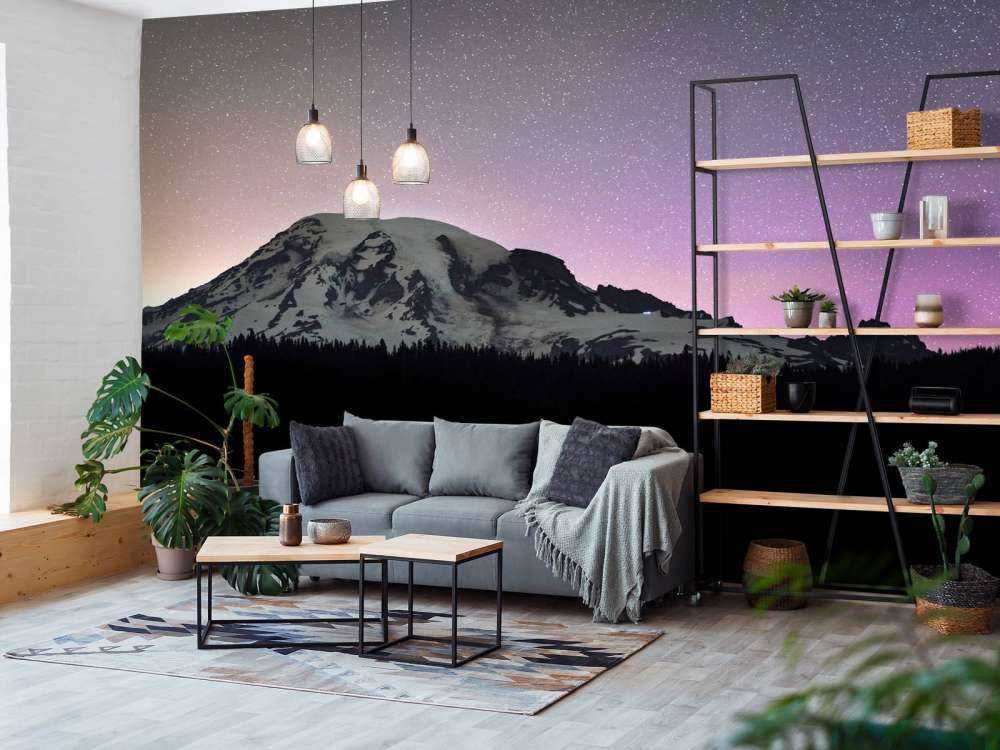 Mount Rainier med norrsken