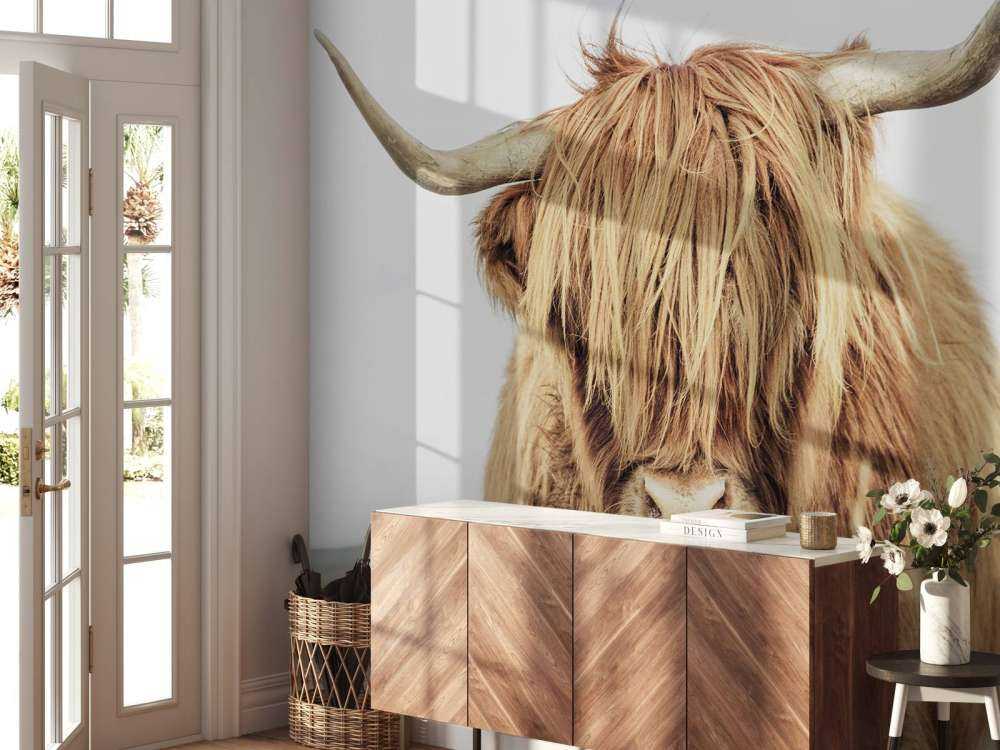 Närbild av en skotsk hoglandare