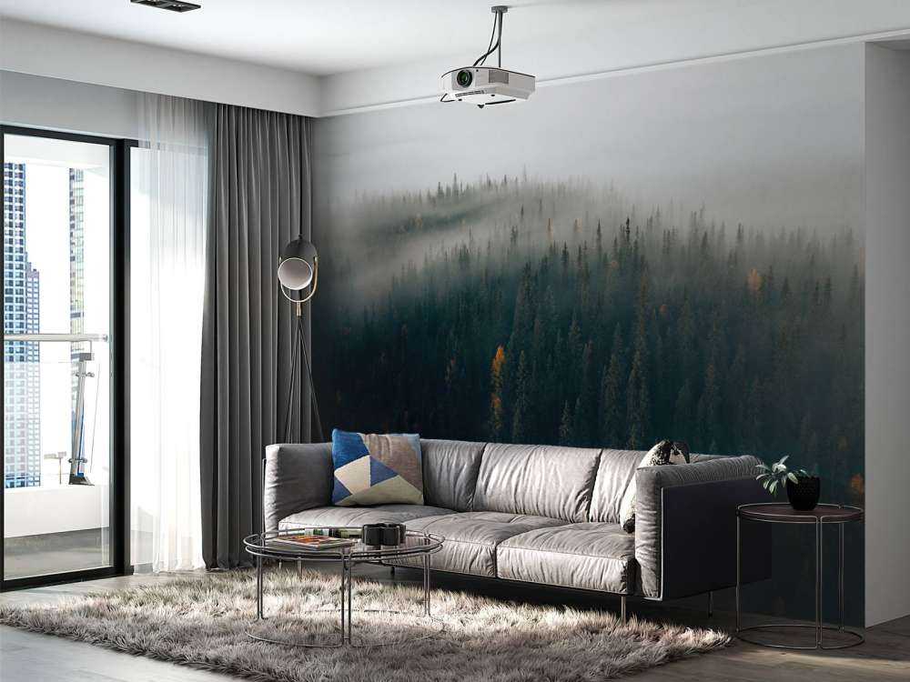 Dimma skog