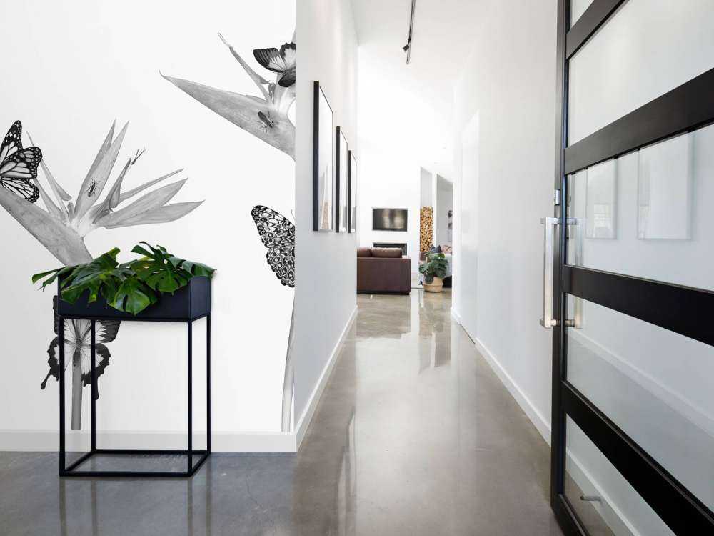 Fjärilar på paradisfågelblommor