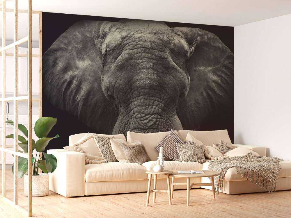 Närbild av en elefant