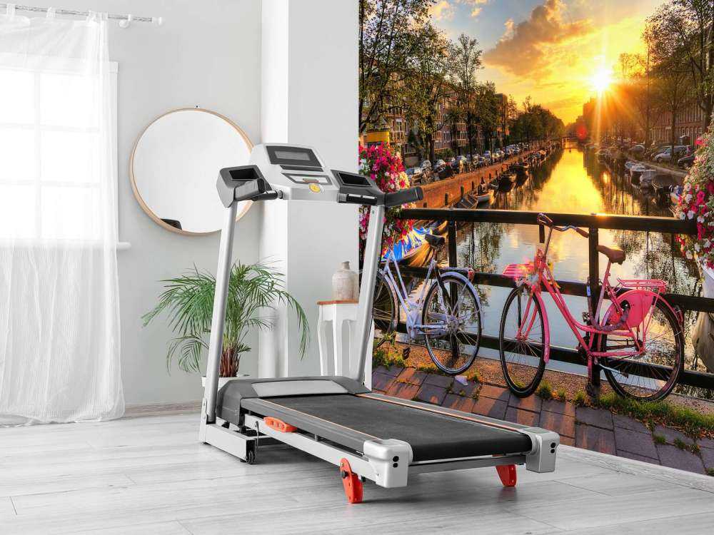 Cykla på en bro med blommor