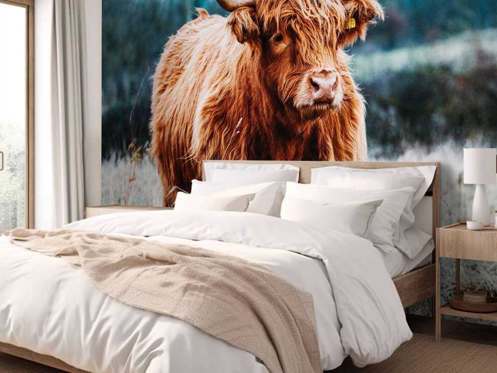 Skotsk hoglandare i skogen