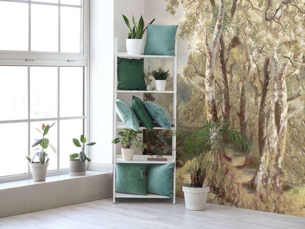 Skovlandskab Farve Panorama