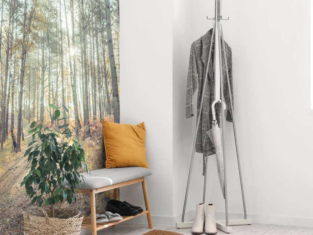 Sti gennem en solbeskinnet skov