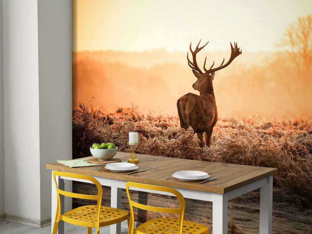 Hert bij zonsopkomst