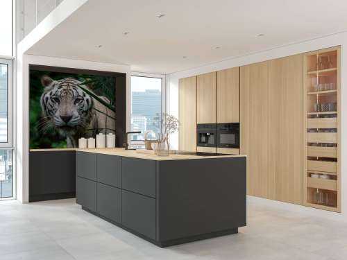 Hvid tiger