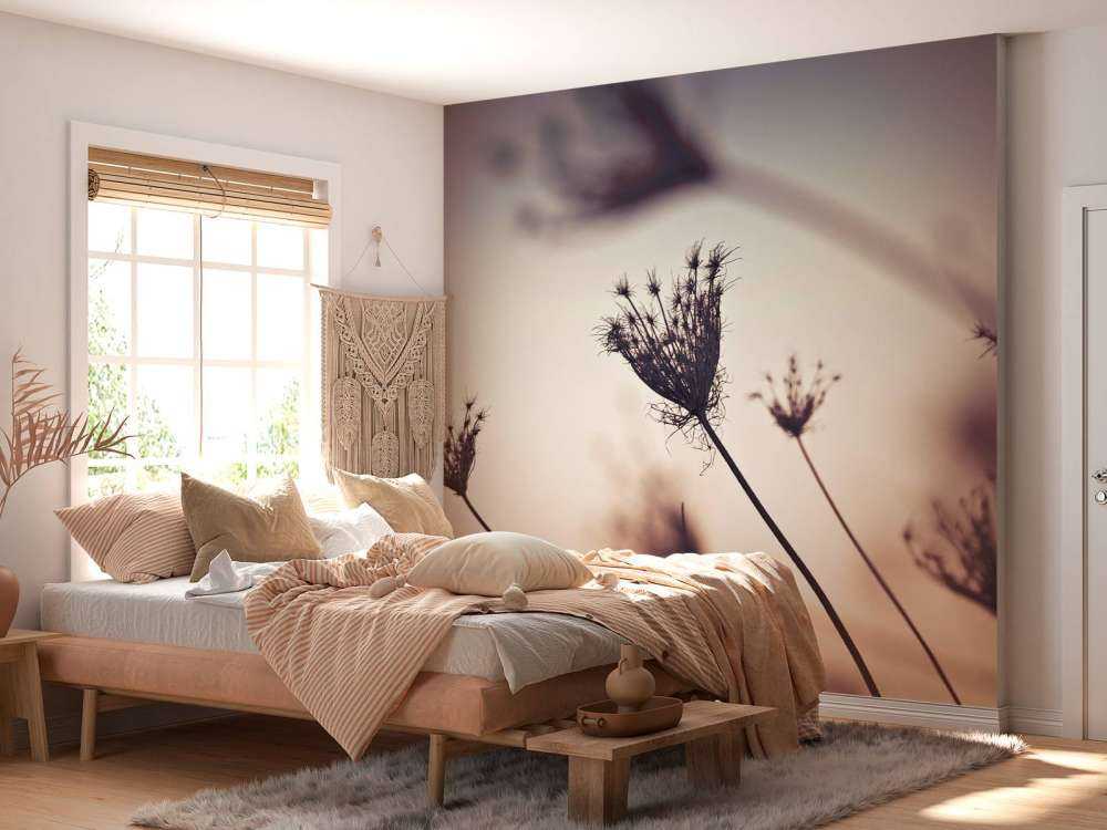 Silhuetter af planter