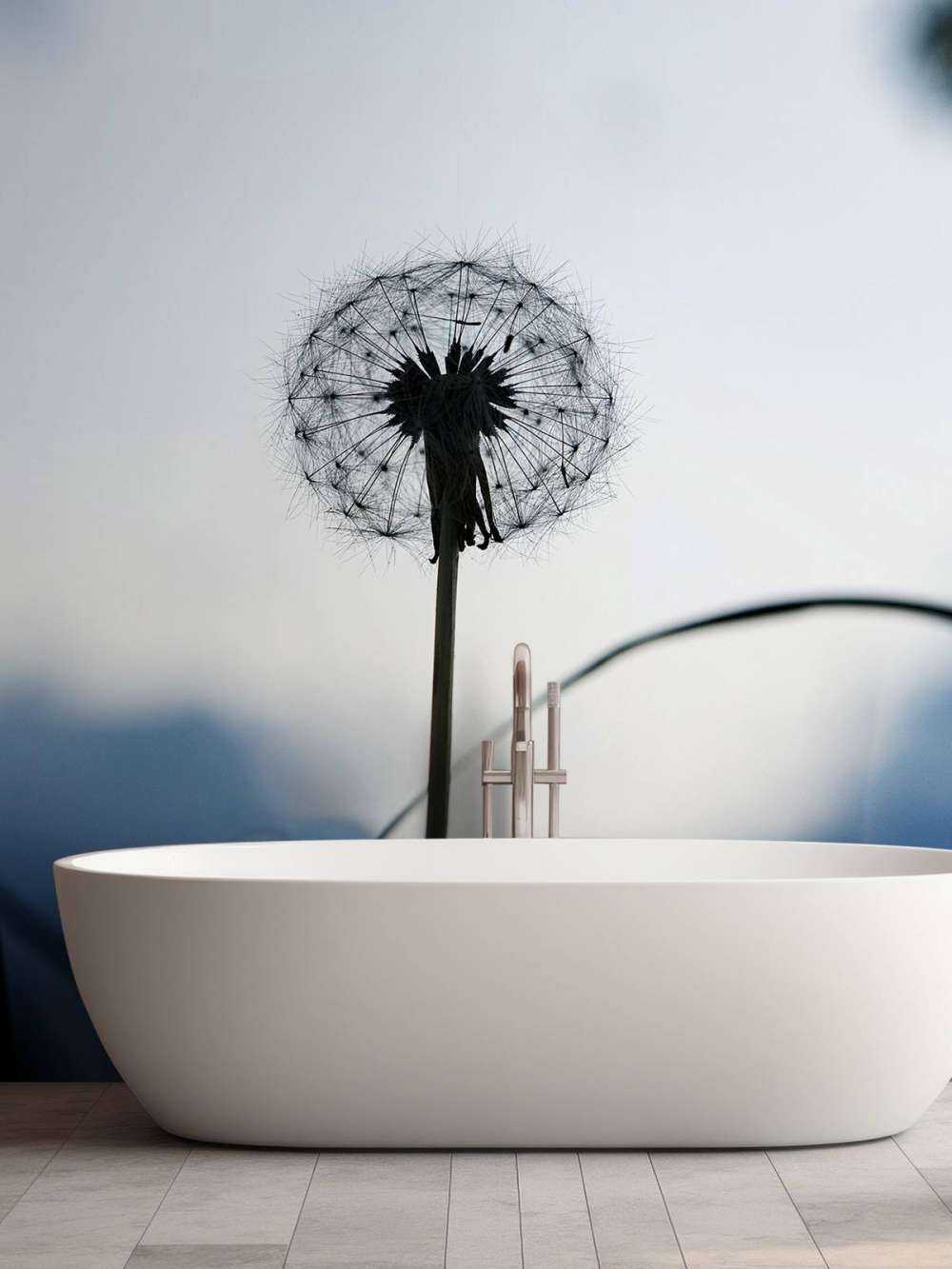 Portræt mælkebøtte