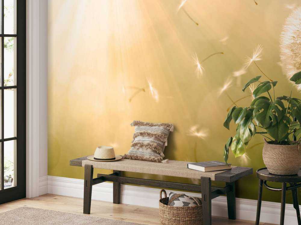 Mælkebøtte i vinden