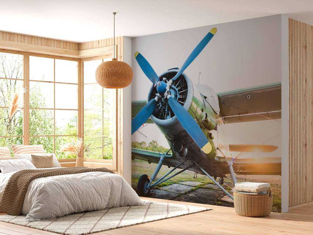 Lille enkeltmotors privatfly