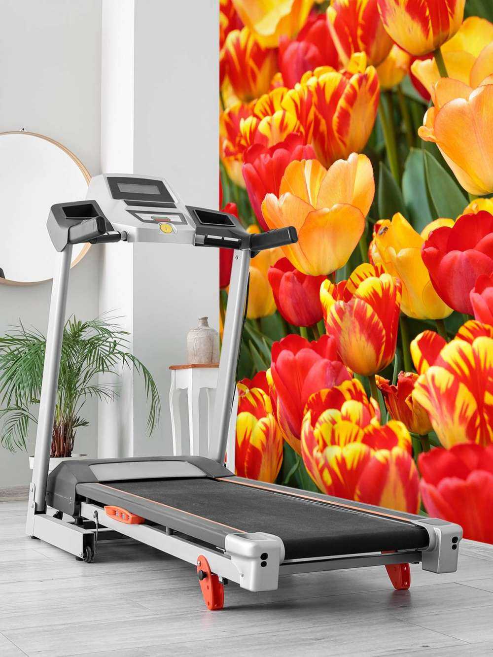 Farvede tulipaner