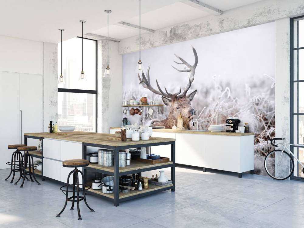 Hjortens Vinterdrøm