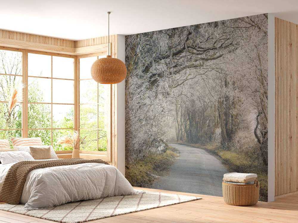 Frosset vei gjennom skog