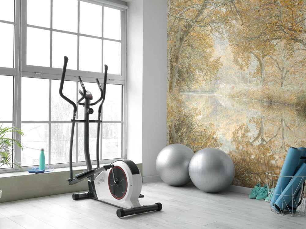 Kanal gjennom skogdekket