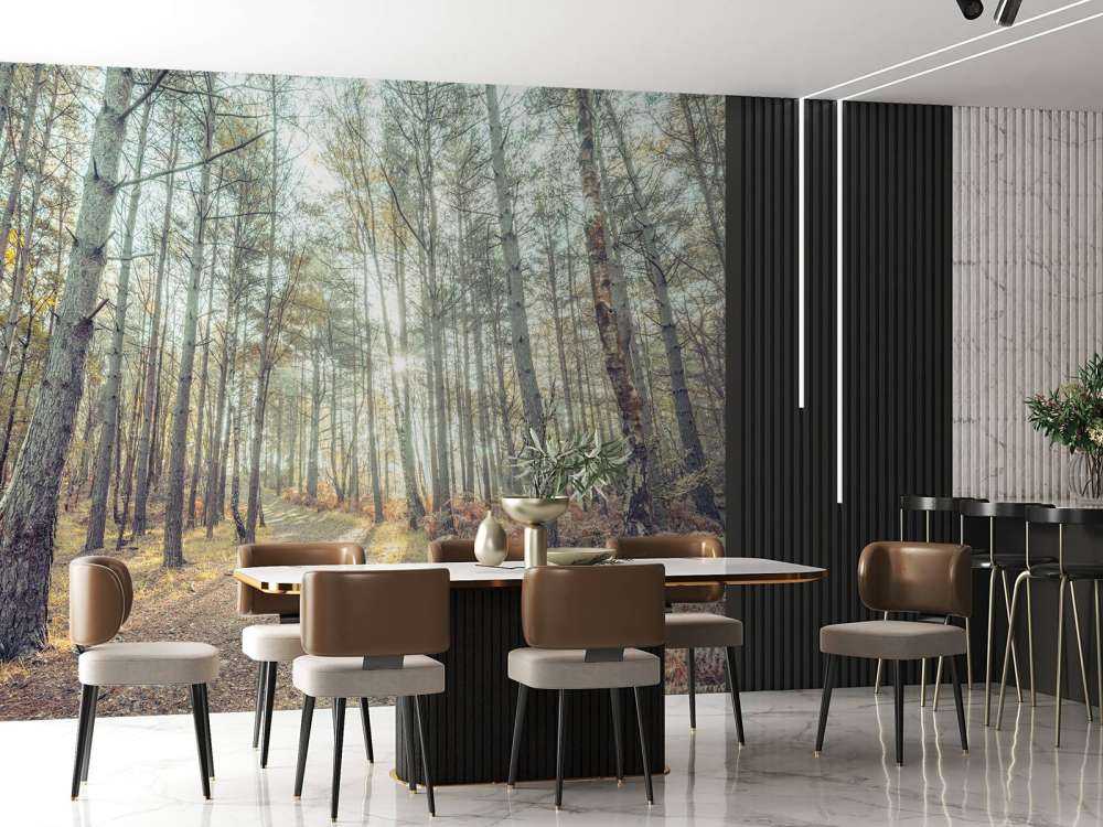 Sti gjennom den solfylte skogen