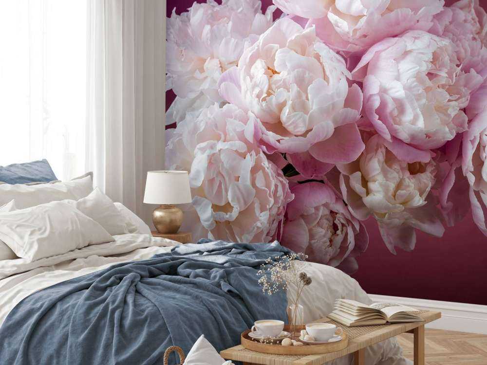 haug med rosa peoner