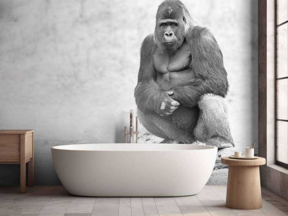 stor gorilla