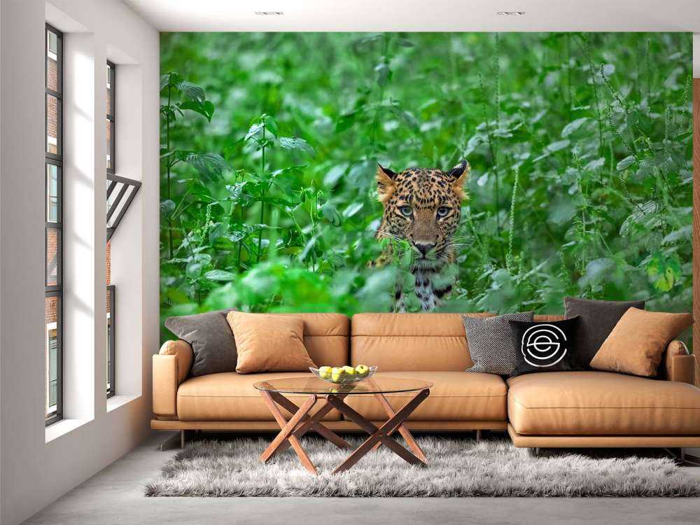 Leopard i skogen