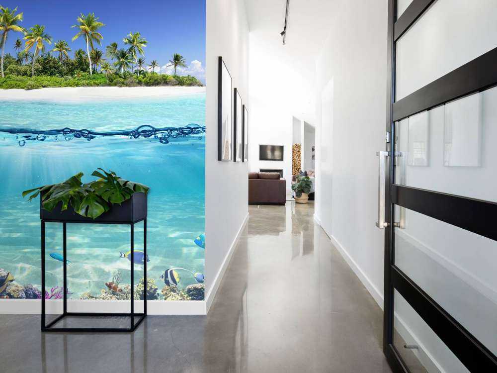 Tropisk øy og korallrev