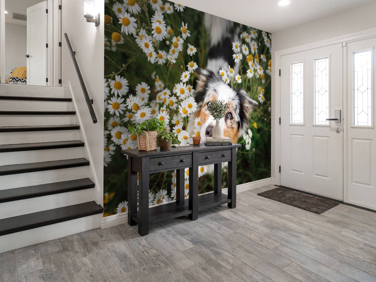 Australsk gjeter blant blomster