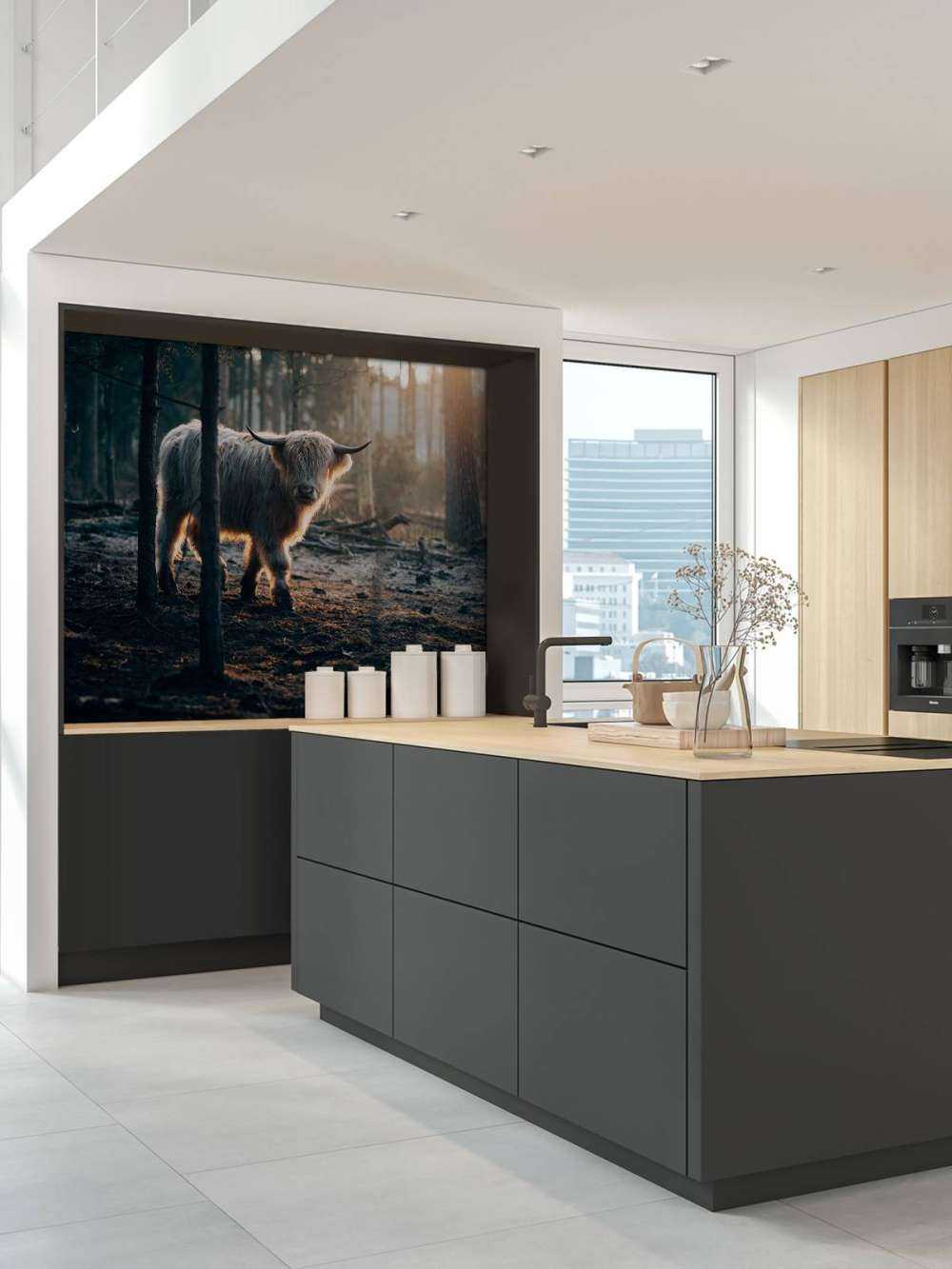 hvite skotske høylandet