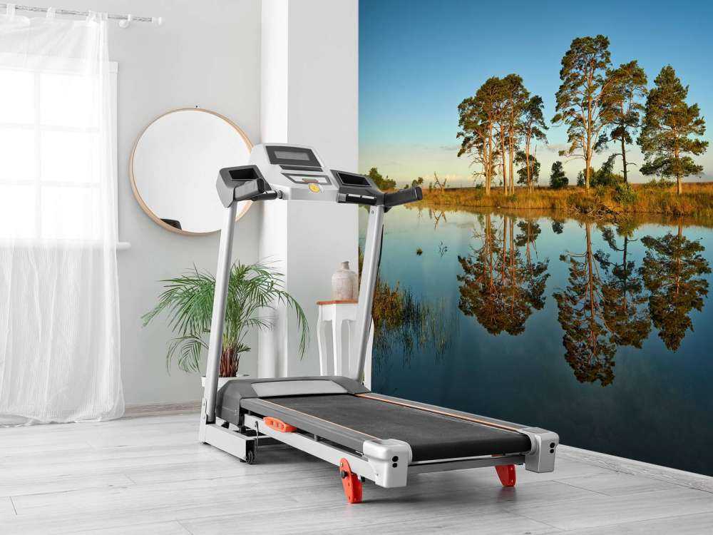 Refleksjon i skogsjøen