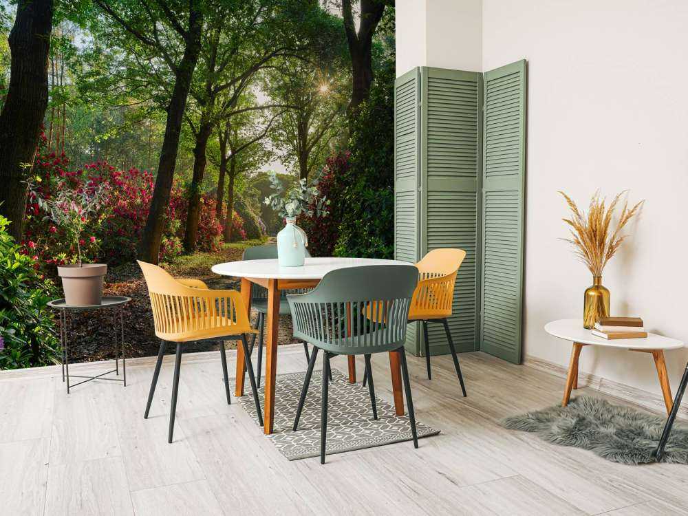 Soloppgang med sti med rododendroner