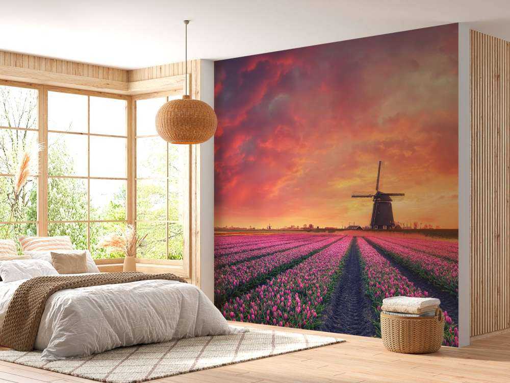 tulipanner med mølle