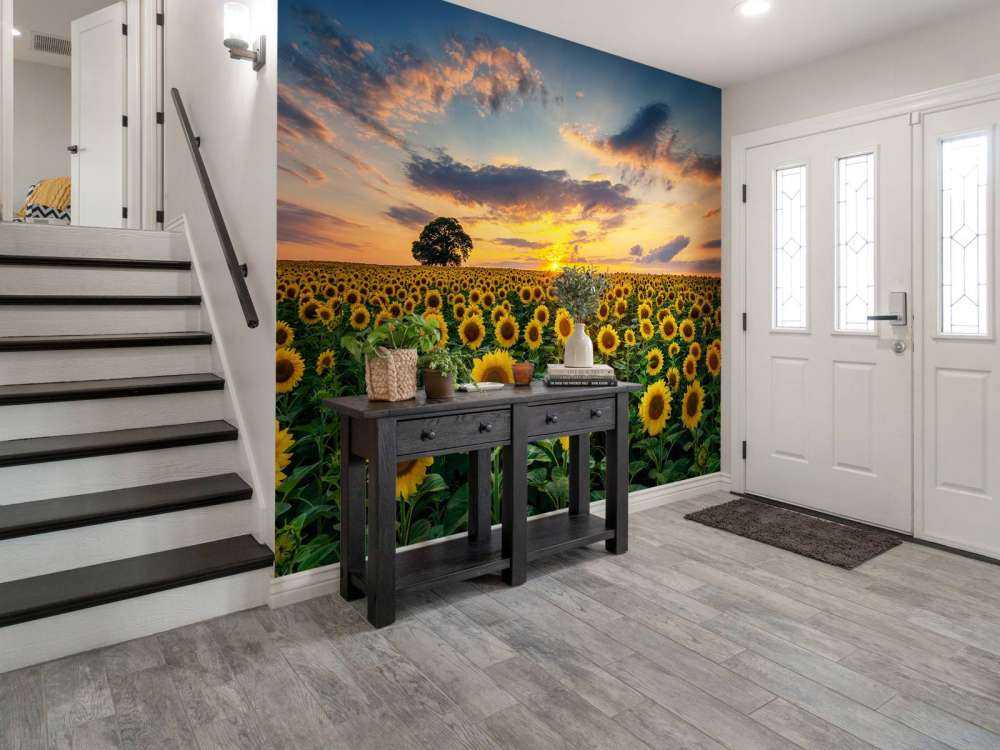 Åker full av solsikker