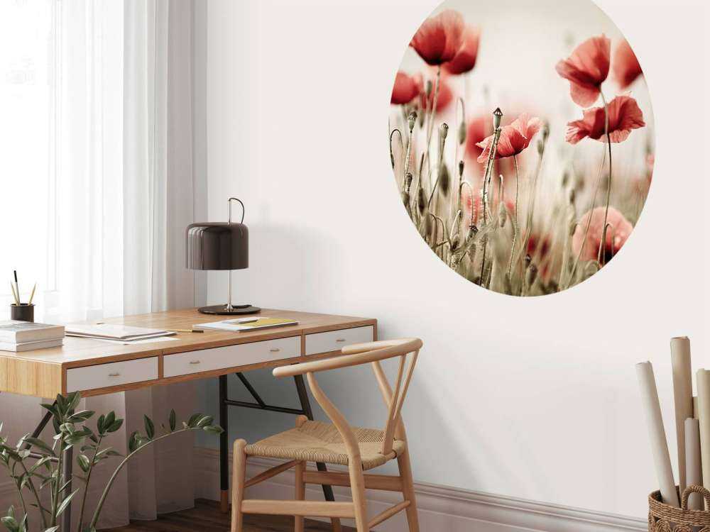 Drømmende valmuer