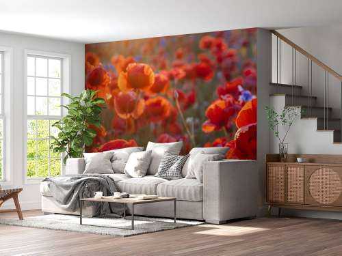 Valmuer og kornblomster