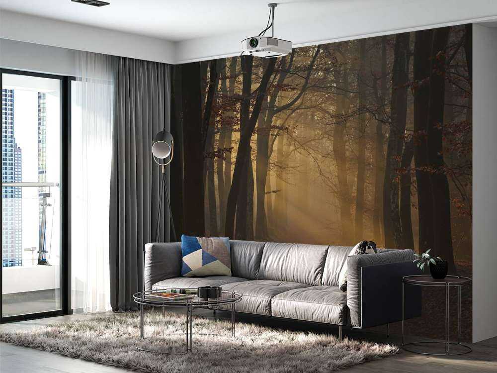 Mystisk efterårsskov