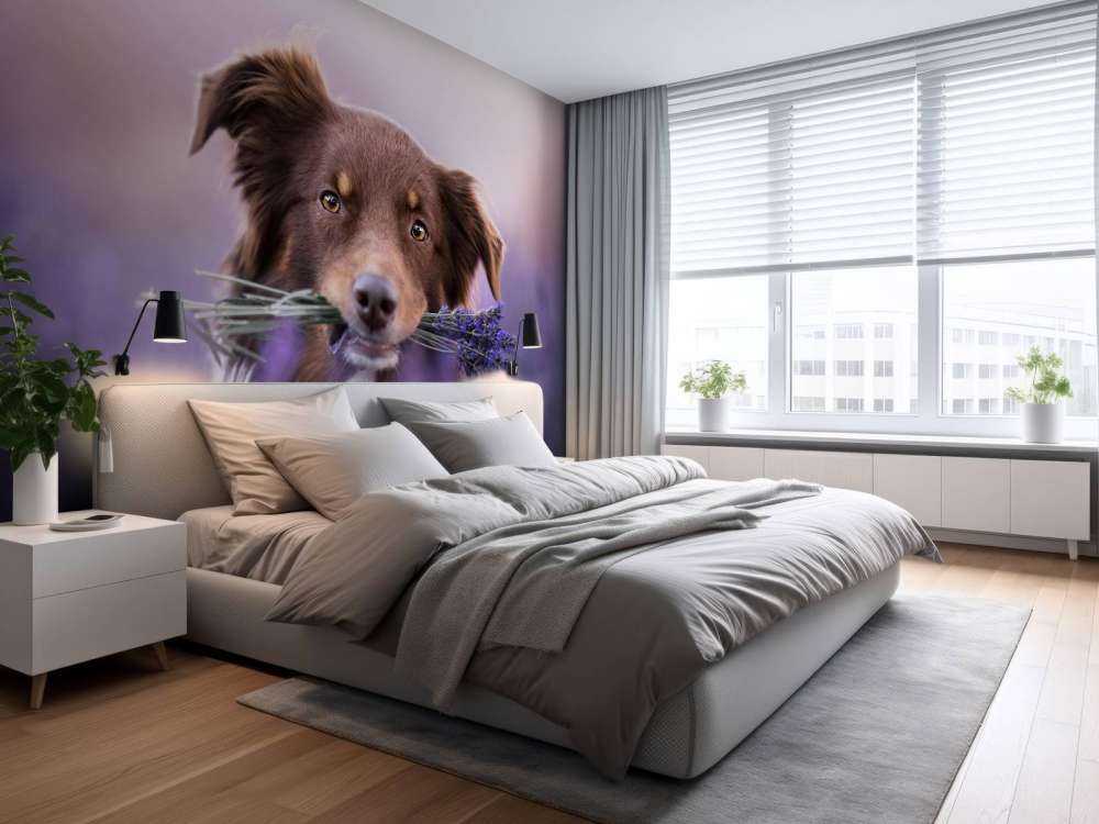 Hund med lavendel