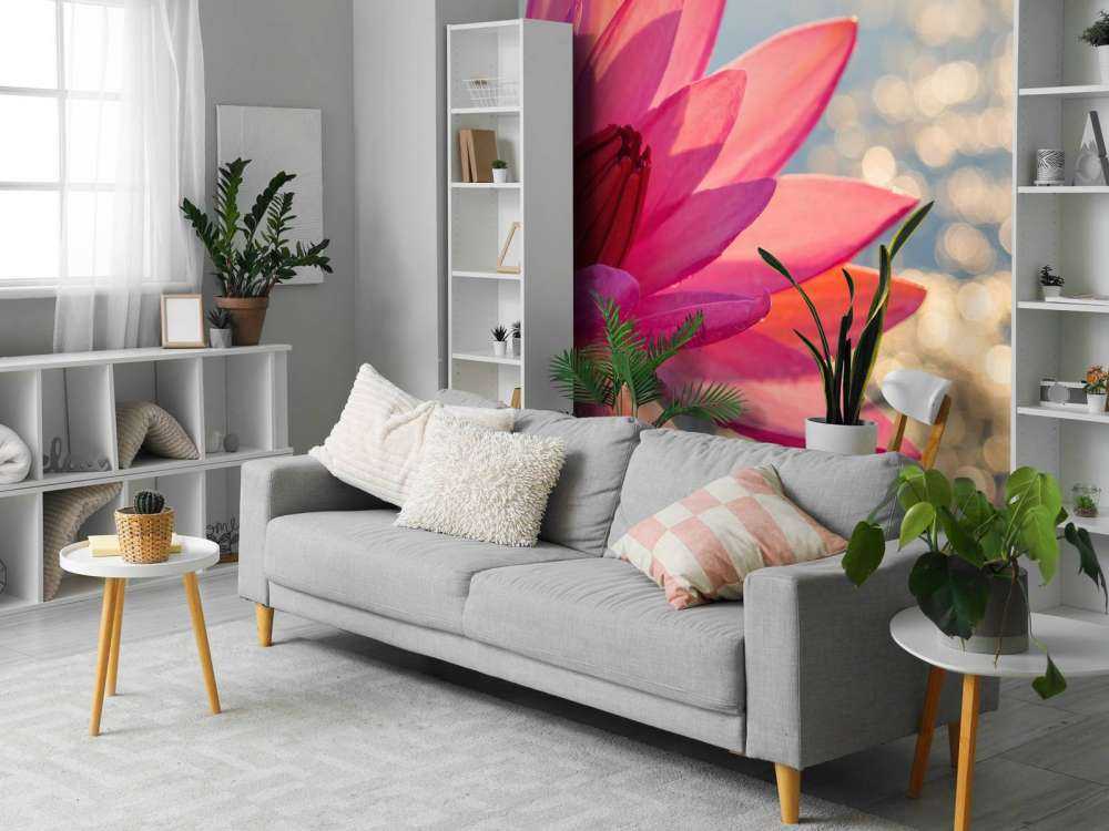 Lotus blomst på vand