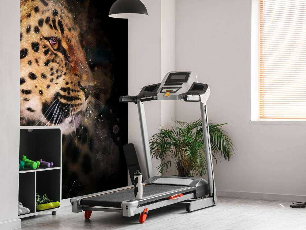 Malet leopard