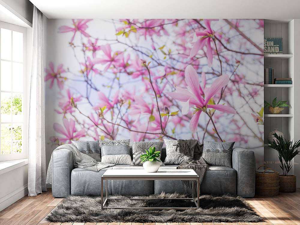 Magnolier