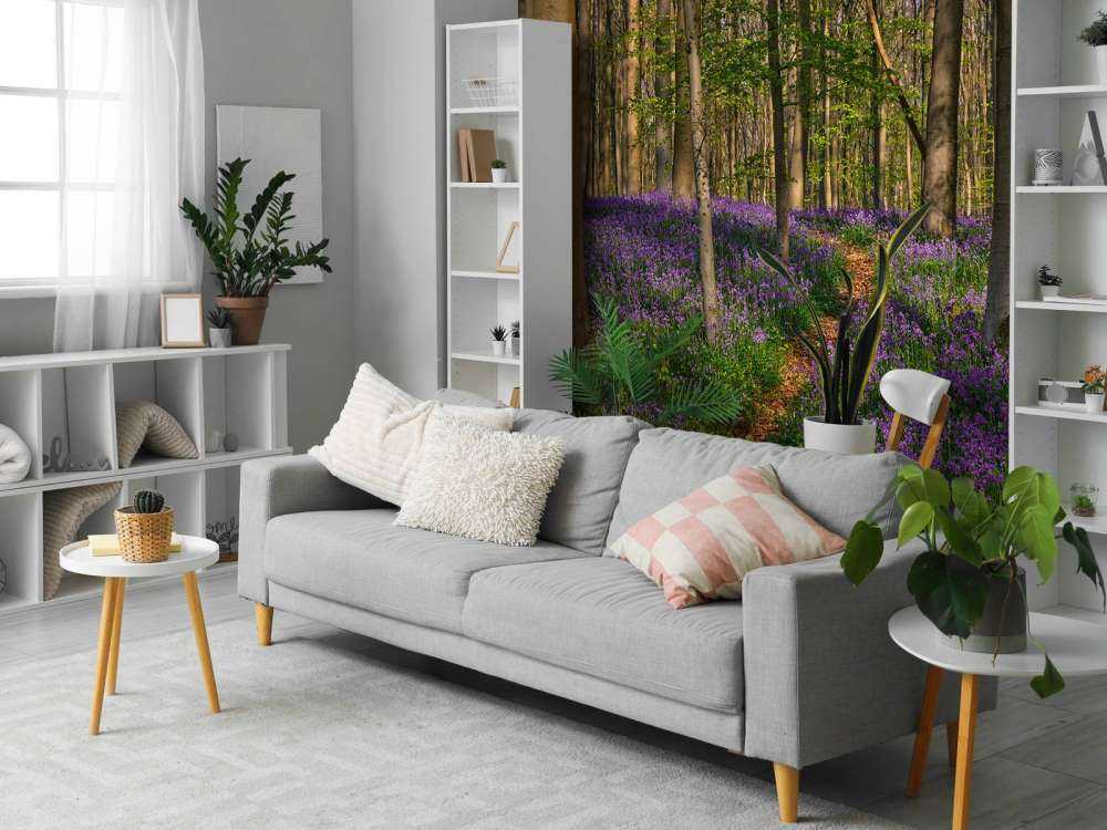 Sti gennem en skov med hyacinter