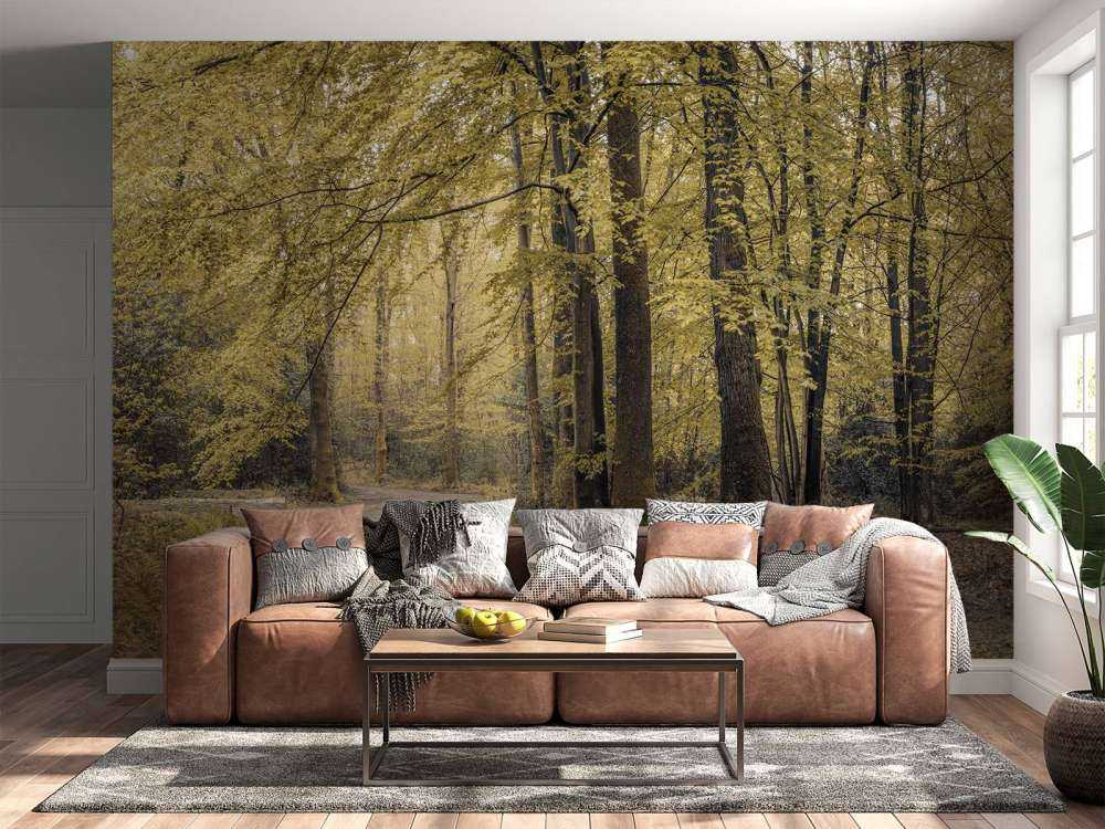 Sti gennem den grønne skov