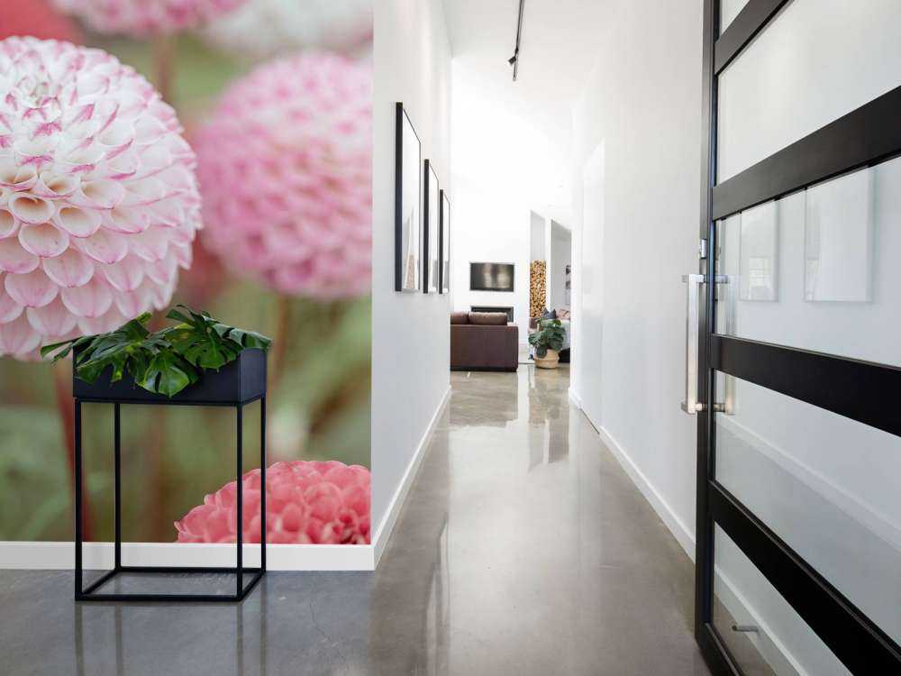 Pink dahlia blomster