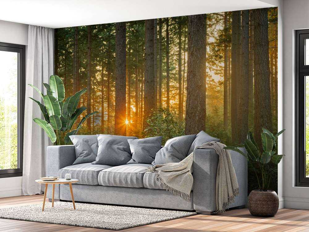 Solstråler i en nåletræsskov