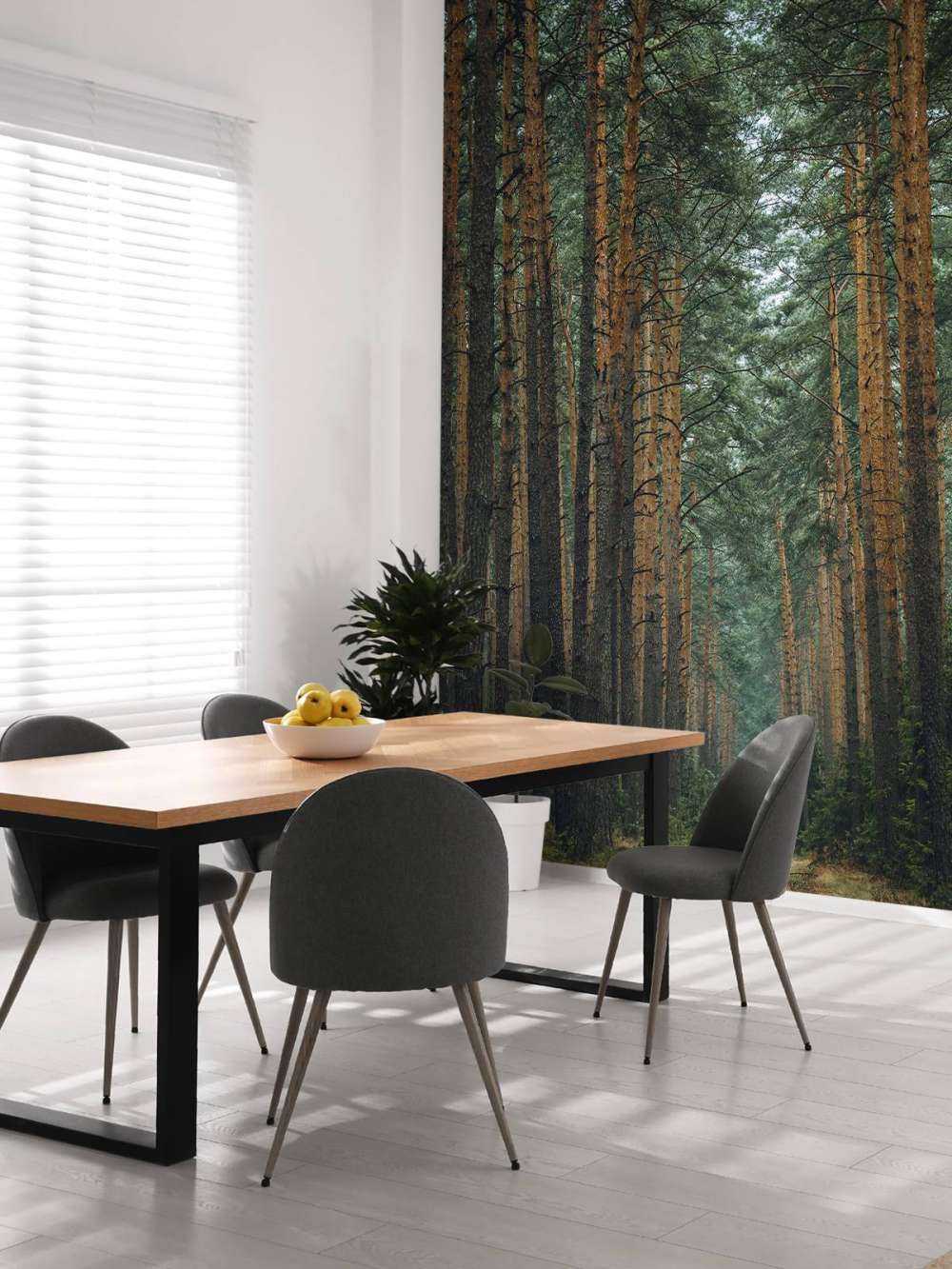 The Forest road 1