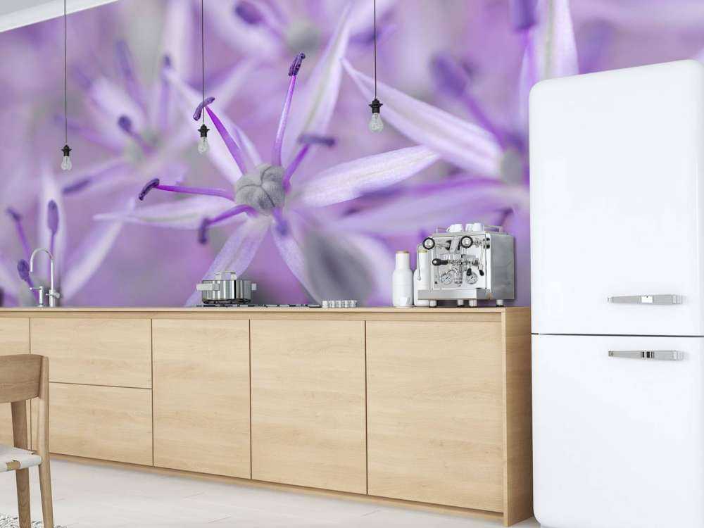 Lilla allium blomster