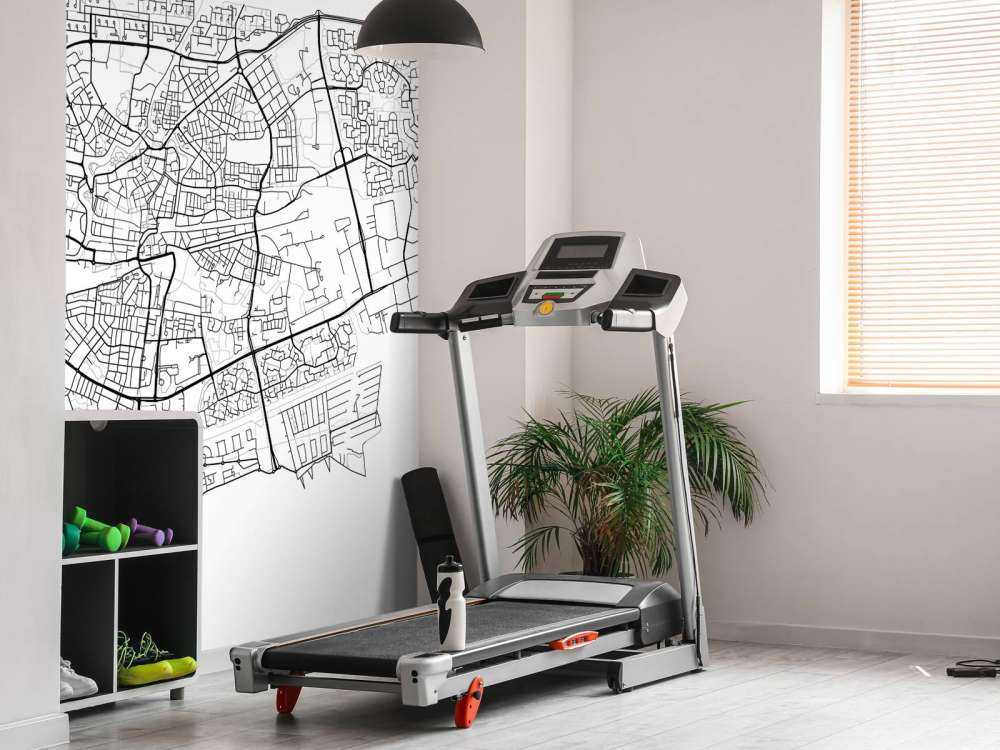 Kort over Leeuwarden, hvid