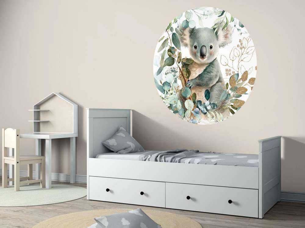 Skattige koala i eucalyptus