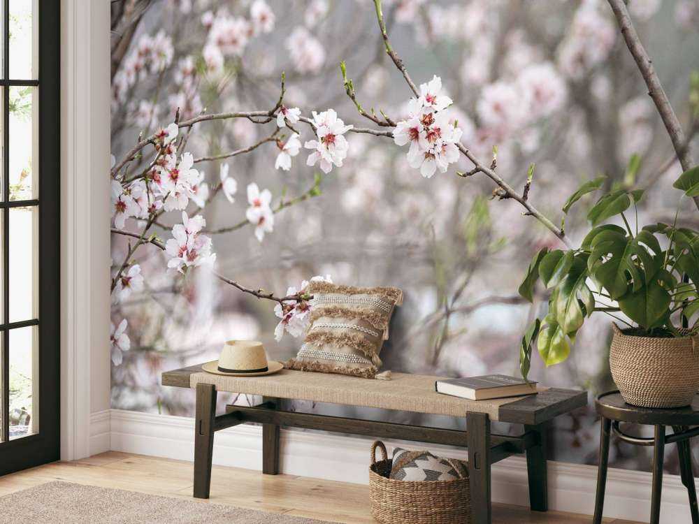 Lyserøde hvide blomster